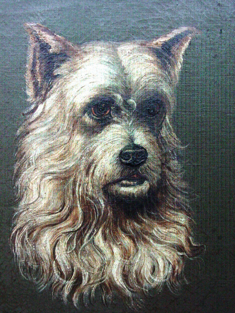 Portrait De Chien (cairn Terrier": Huile /toile Signée "petit"-photo-6