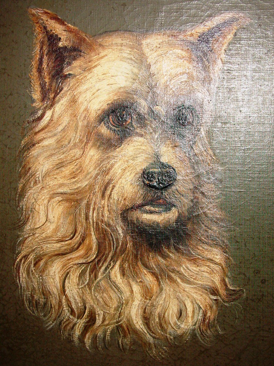 Portrait De Chien (cairn Terrier": Huile /toile Signée "petit"-photo-7