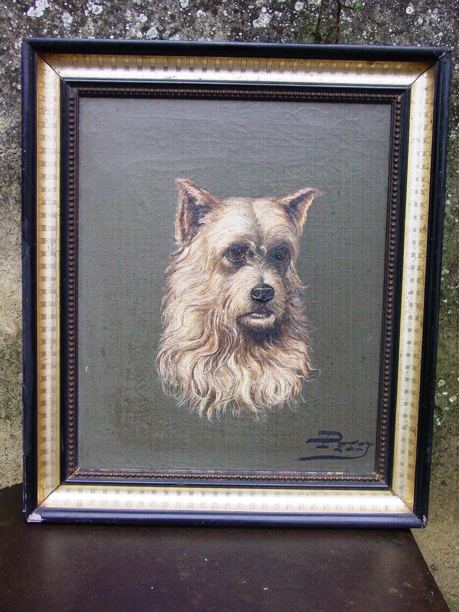 Portrait De Chien (cairn Terrier": Huile /toile Signée "petit"