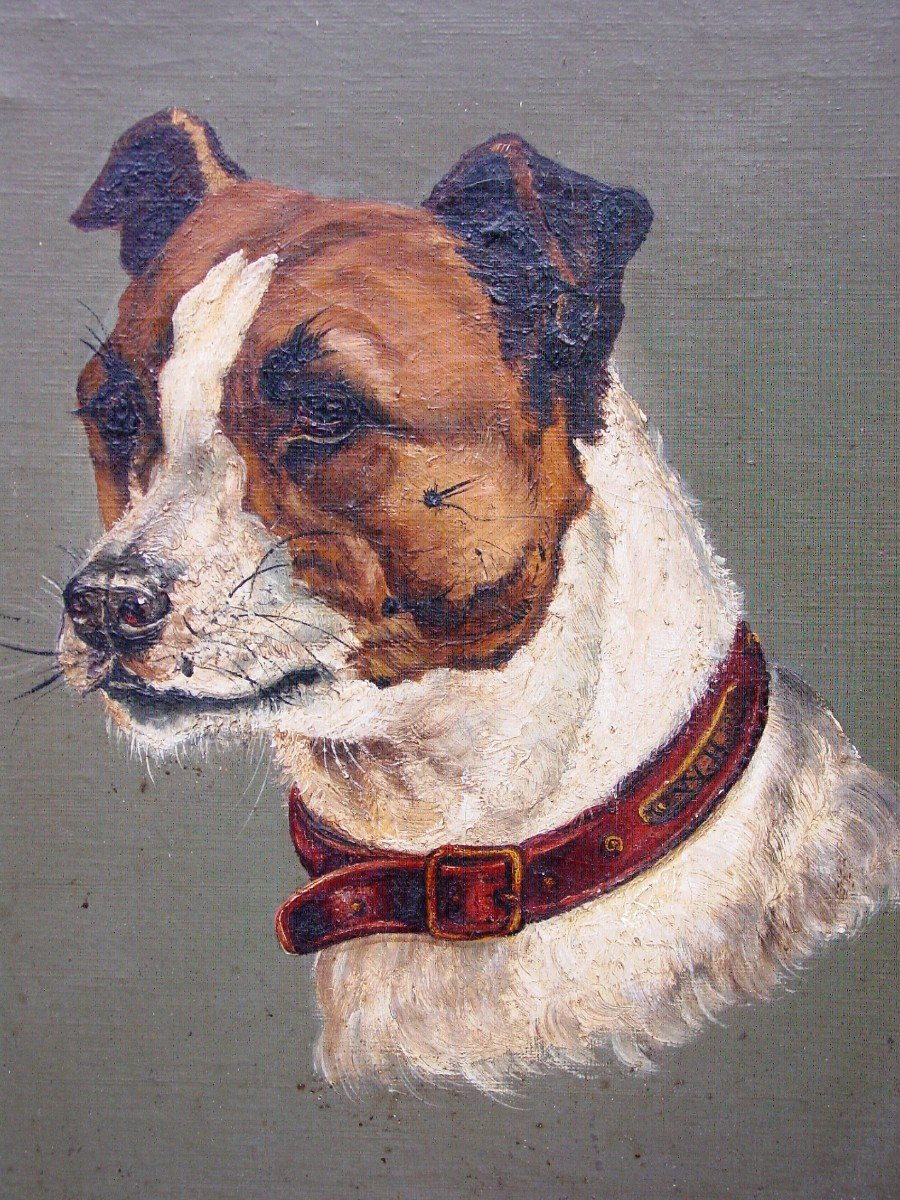 Portrait De Chien "jack Russel Terrier " Huile Sur Toile Fin 19ème-photo-4