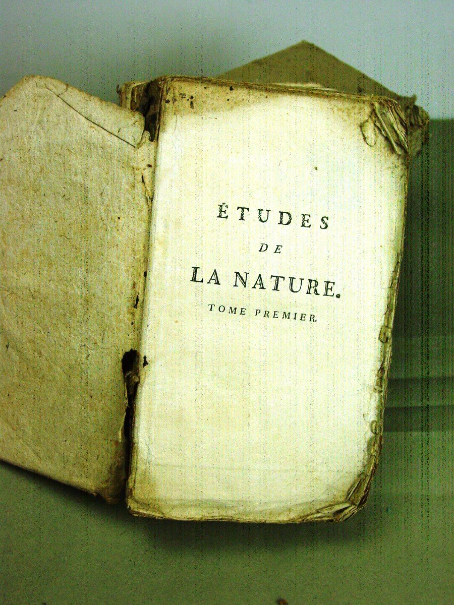 Etudes De La Nature B. De Saint Pierre 1786 -photo-3