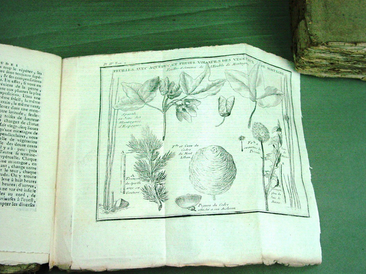 Etudes De La Nature B. De Saint Pierre 1786 -photo-3