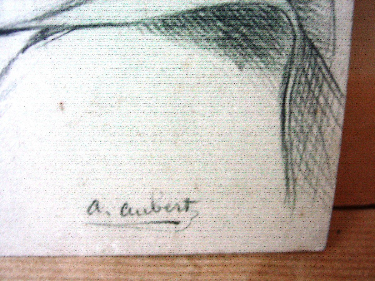 19th Century Drawing Old Man After Antique Signed A. Aubert-photo-1