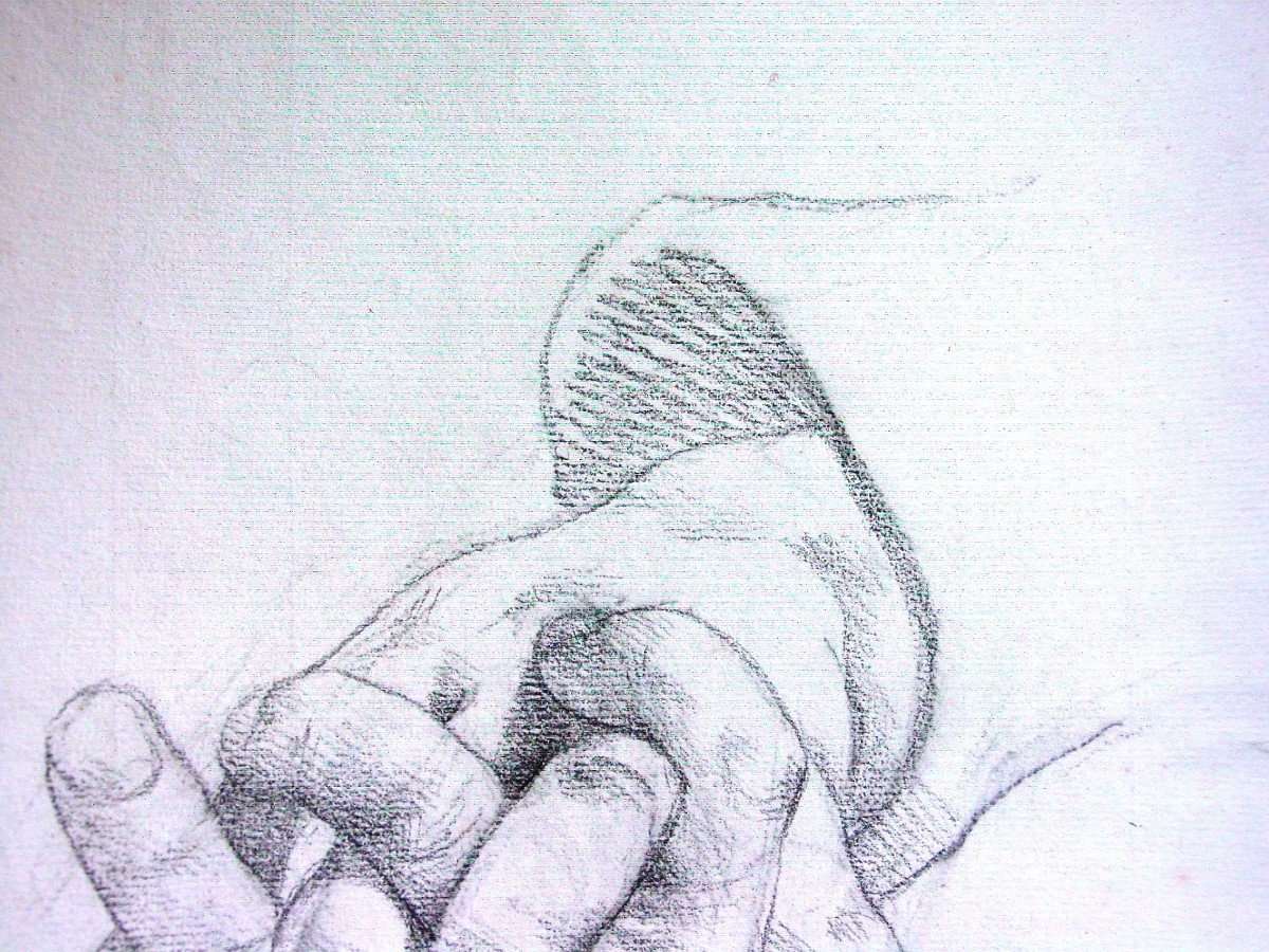 19th Century Hand Study-photo-4