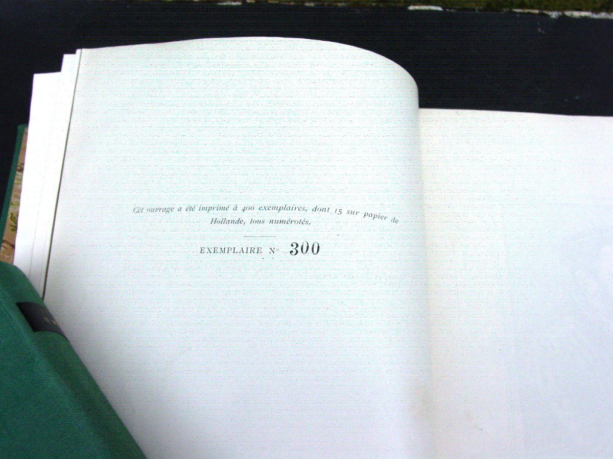 "patrician Memoirs On Religious Troubles In Flanders" 2 Volumes 300 /400 M. Van Vaernwick-photo-3