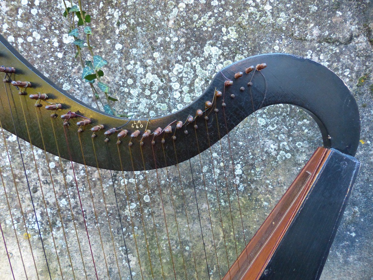 Petite Harpe 25 cordes Vers 1970  Celtique ?-photo-2