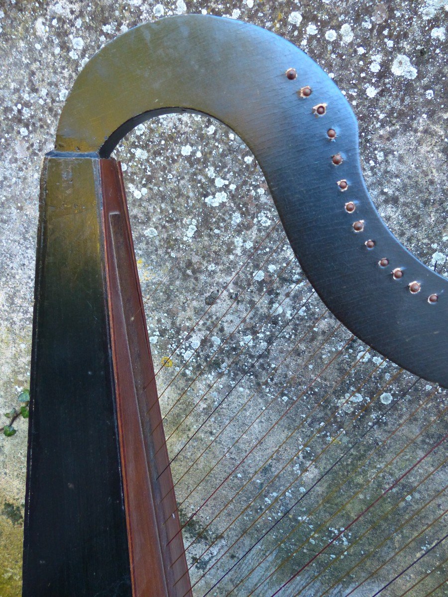 Petite Harpe 25 cordes Vers 1970  Celtique ?-photo-1