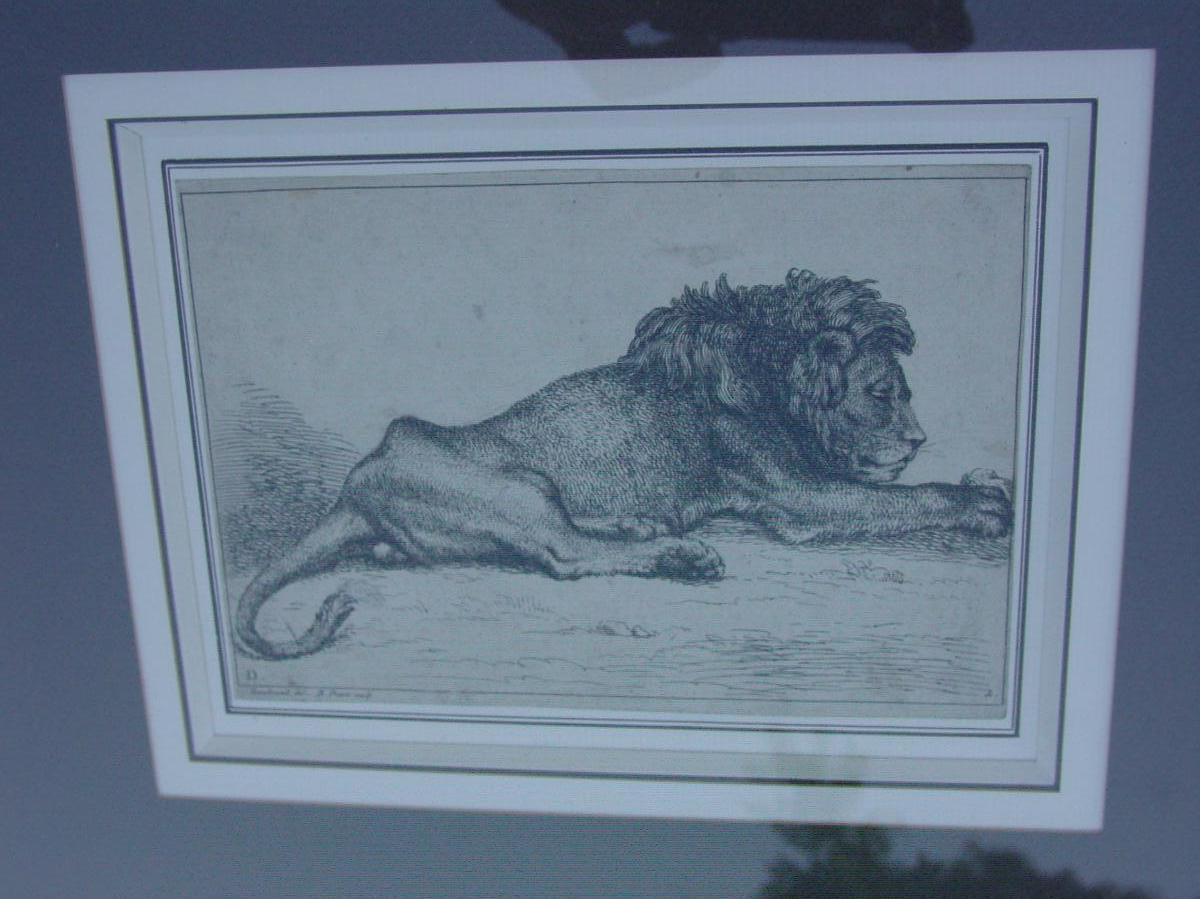 Paire Gravures "les Lions" Picart & Rembrandt Super Encadrées-photo-2