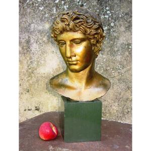 Bust Of Apollo Old Cast Ateliers Du Louvre