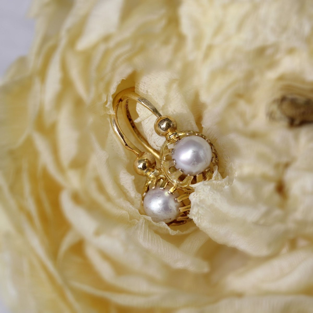 Fine Antique Yellow Gold Pearl Sleepers-photo-3