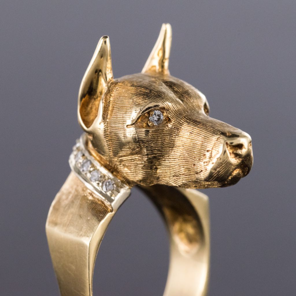 Dog Ring And Its Diamond Necklace-photo-4