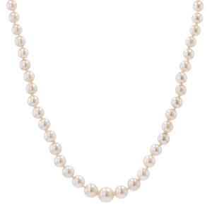 Cultured Pearl Necklace Yellow Gold Clasp