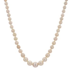 Drop Cultured Pearl Necklace