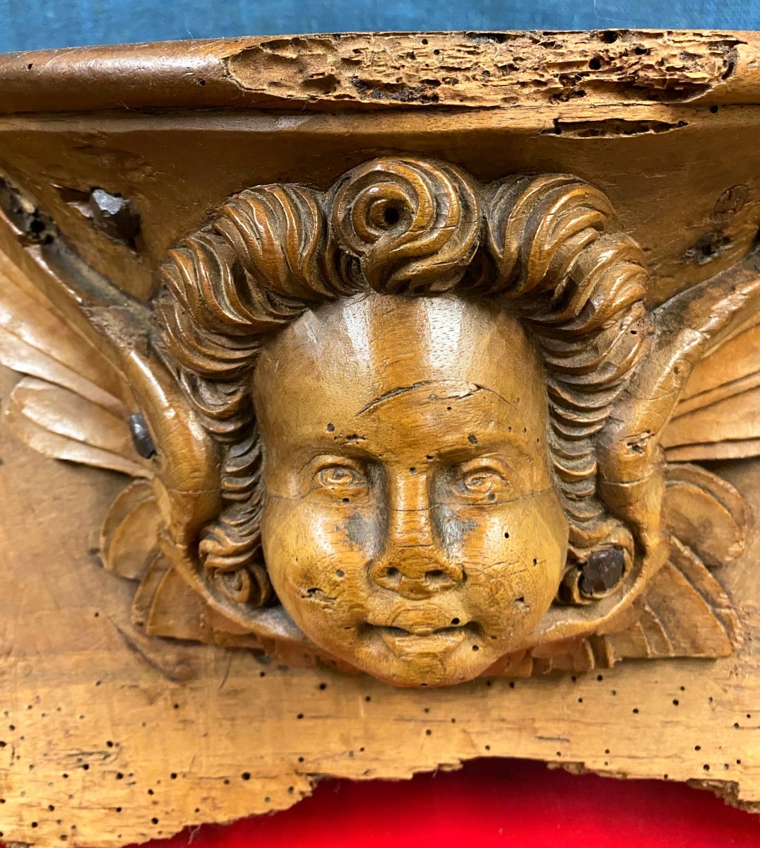 Sculture In Walnut Of The Head Of An Angel XVI Th Century