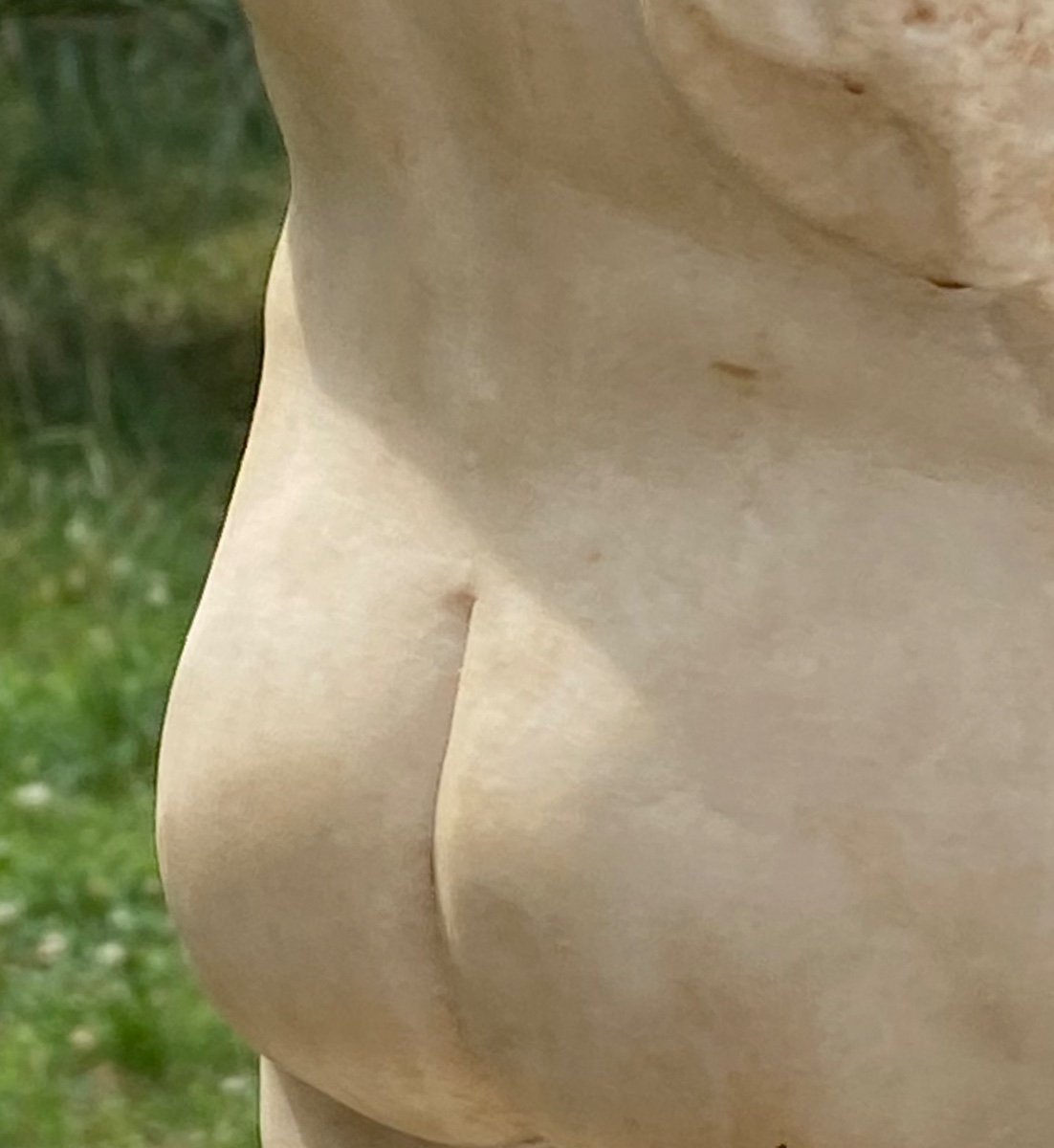 Torso  Homme. En Marbre Blanc  à  L’antique-photo-5