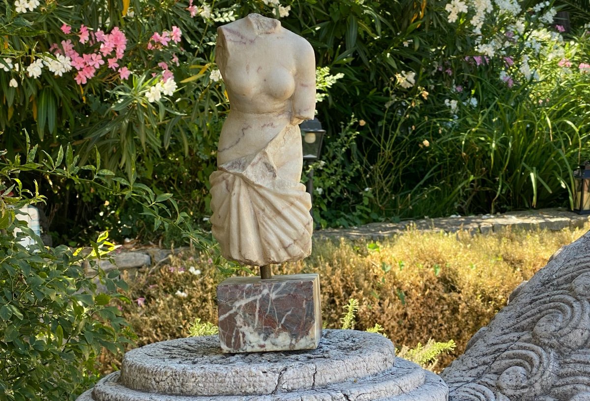 Sculpture Torso Of Woman In Veined White Marble Draped In Antique-photo-2