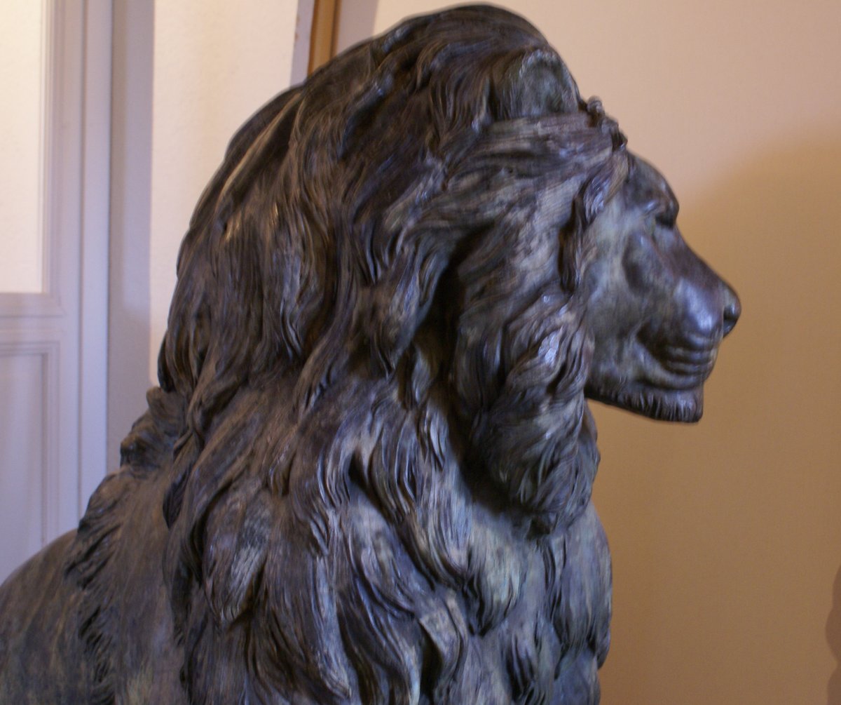 Importante Sculpture De   Lion  Assis    En  Bronze   H:128 Cm  #3:5   Par  Christian   Maas  .-photo-2