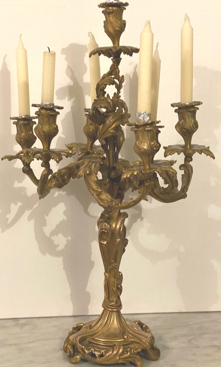   Grande Paire   De Flambeaux En Bronze DorÉ  A 7 Lumières   De Style Rocaille  19 ème-photo-3