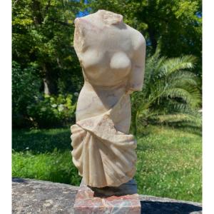 Sculpture   Torso  De Femme  En Marbre  Blanc Veiné    Drapée    À  L' ANTIQUE