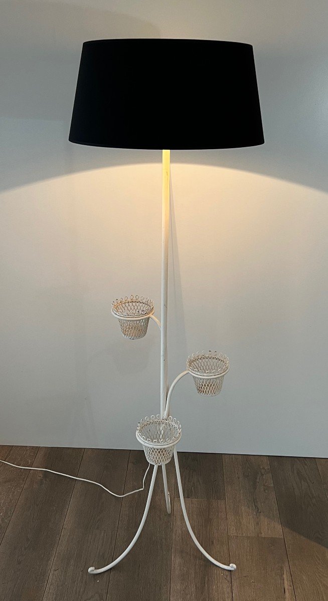 Cap d'Ail Collection Plant Holder Floor Lamp By Mathieu Matégot-photo-3