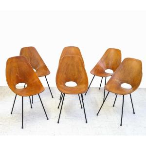 Set Of 6 Medea Chairs By Vittorio Nobili, 1950s/60s