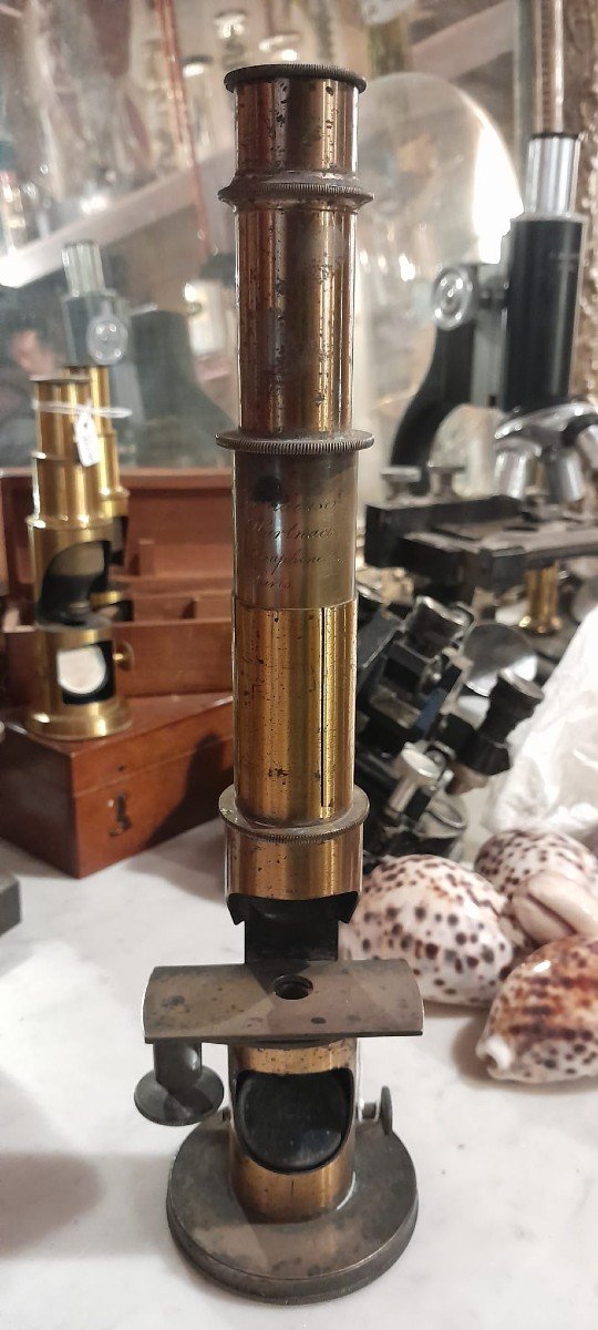 Microscope à Tambour En Laiton, XIXème, Signé Oberhaeuser Et Hartnack