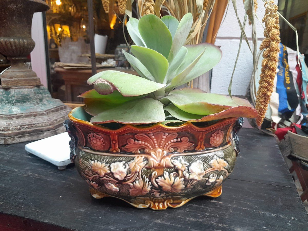 Barbotine Planter, Plant And Ornamental Decor, Early 20th Century-photo-1