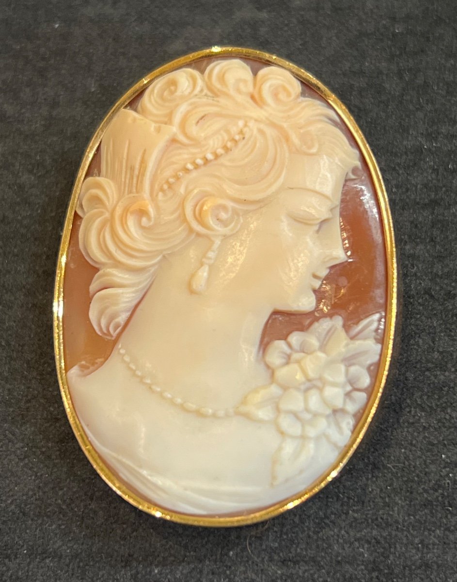 Broche Camée