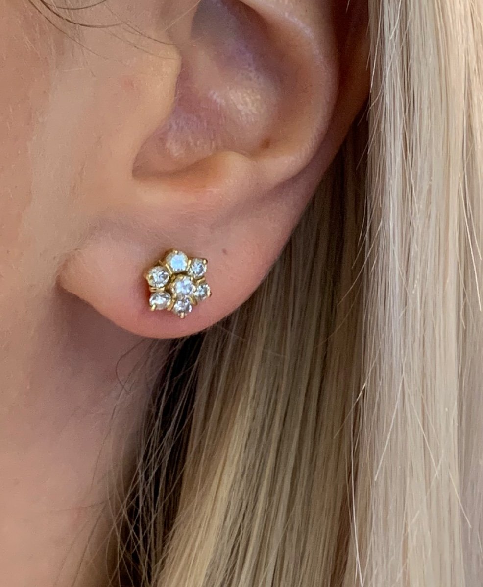 Une Paire De Boucles D’oreilles Fleurs Diamants