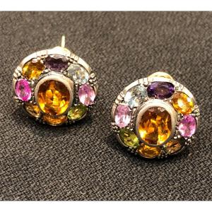 Une Paire De Boucles D’oreille Multicolore