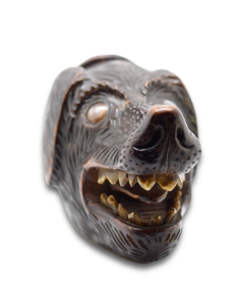 Treen Snuff Box In The Form Of A Dogs Head. Scottish, 19th Century.  -photo-3