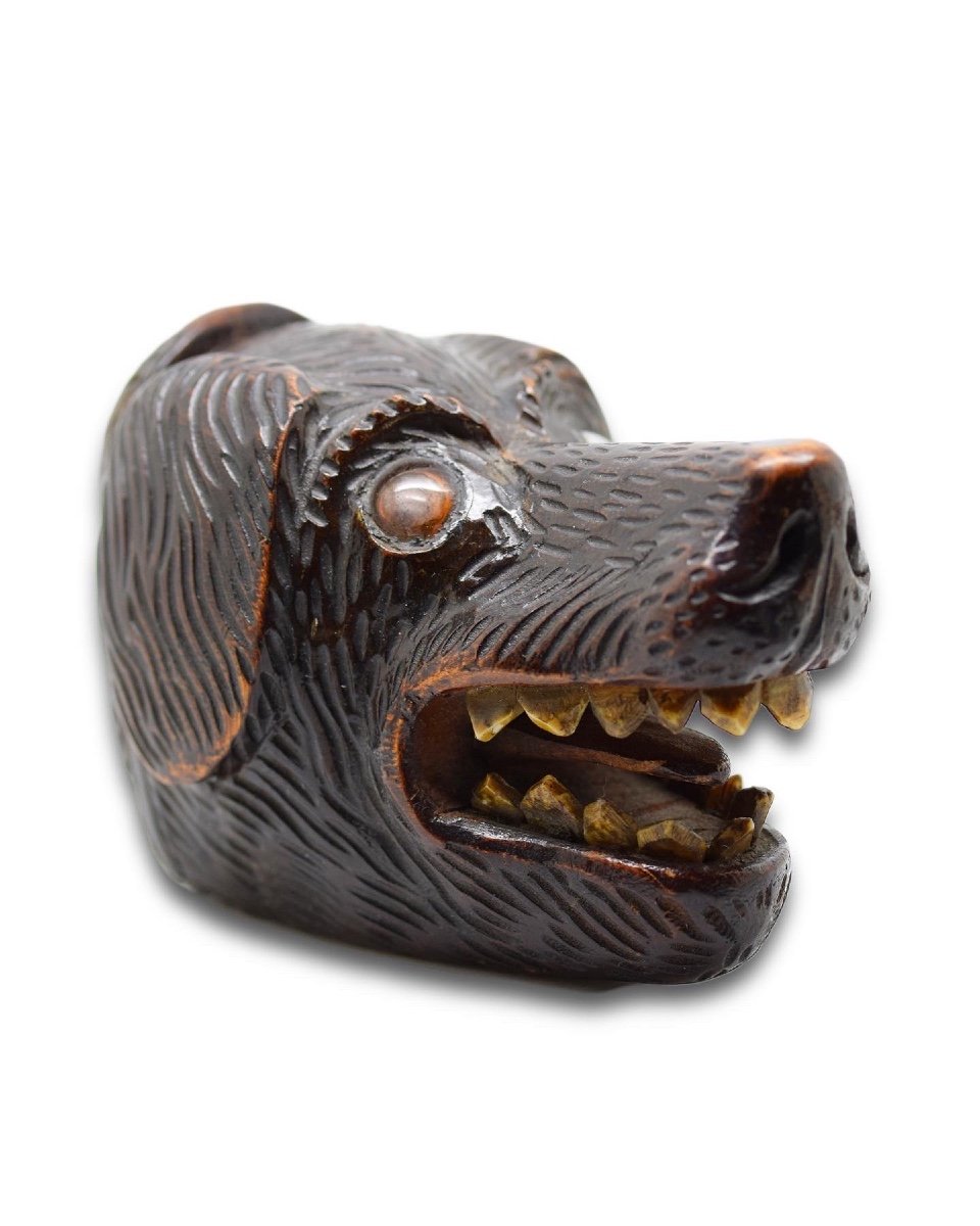 Treen Snuff Box In The Form Of A Dogs Head. Scottish, 19th Century.  -photo-4