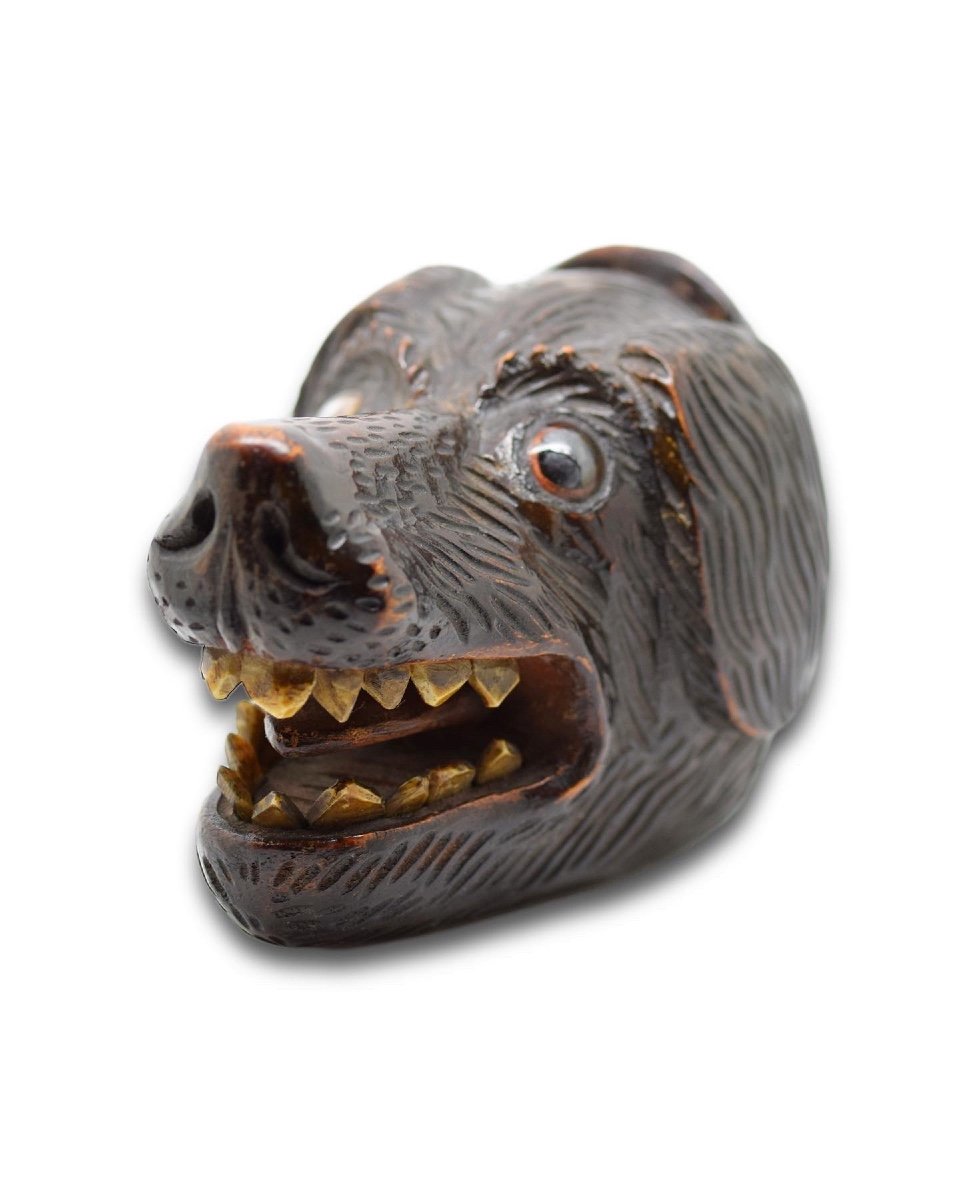 Treen Snuff Box In The Form Of A Dogs Head. Scottish, 19th Century.  -photo-1