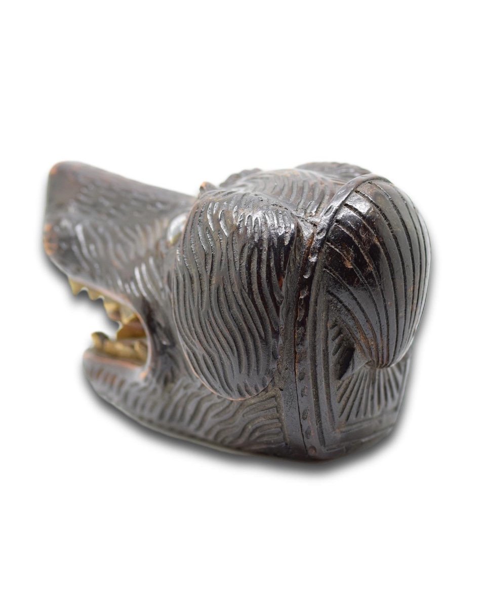 Treen Snuff Box In The Form Of A Dogs Head. Scottish, 19th Century.  -photo-2