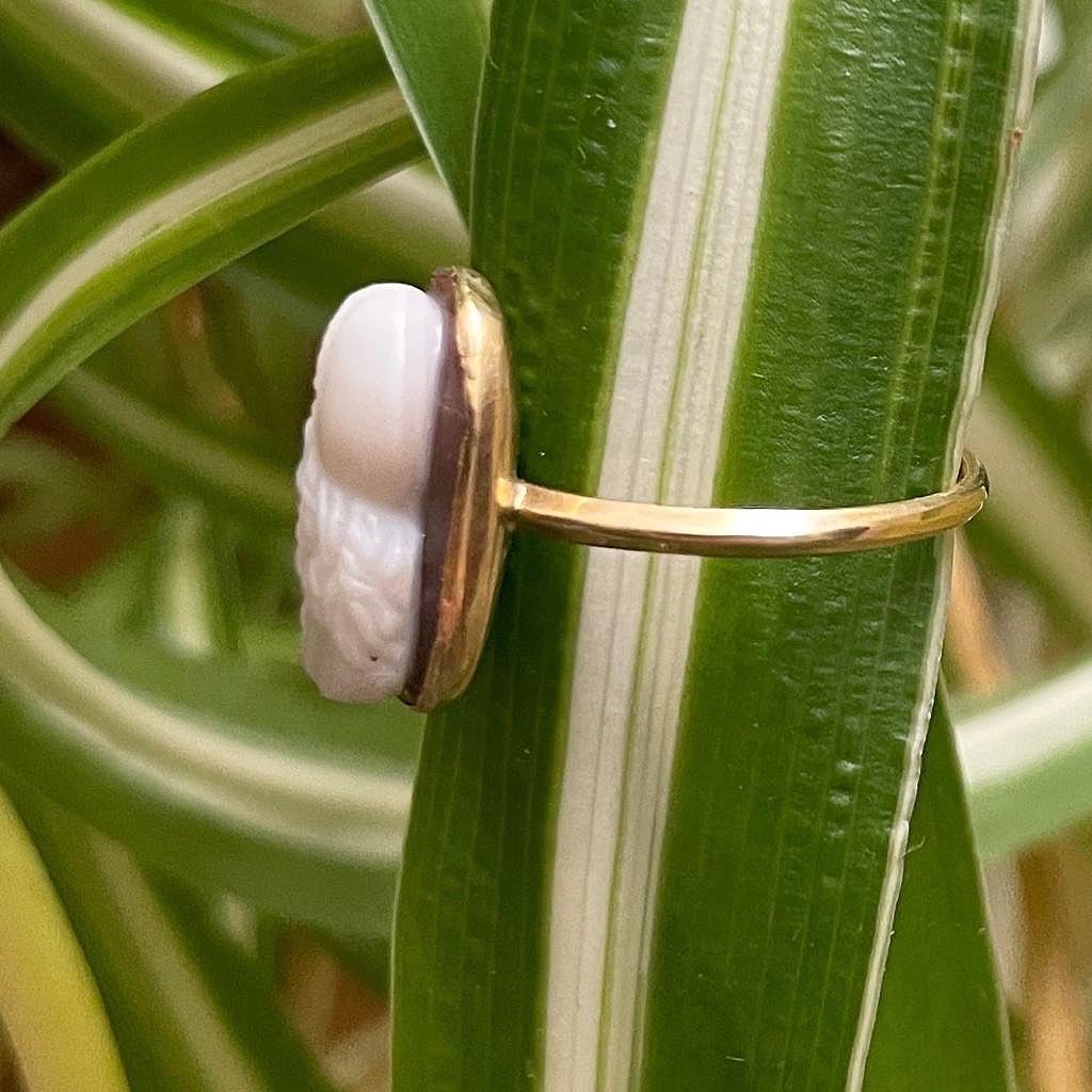 Proantic: Sardonyx Cameo Of A Noble-woman In A Gold Ring. Italian, 15t