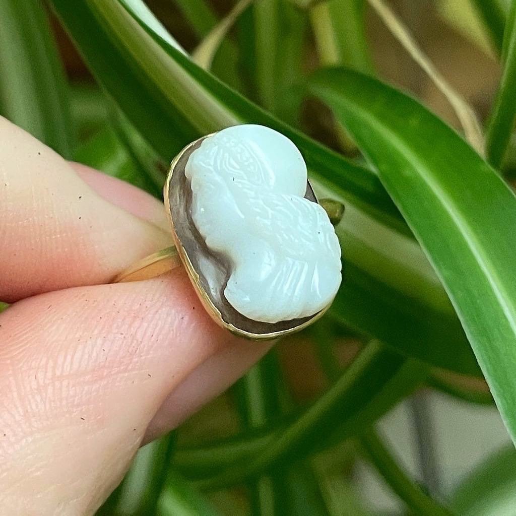 Sardonyx Cameo Of A Noble-woman In A Gold Ring. Italian, 15th Century.