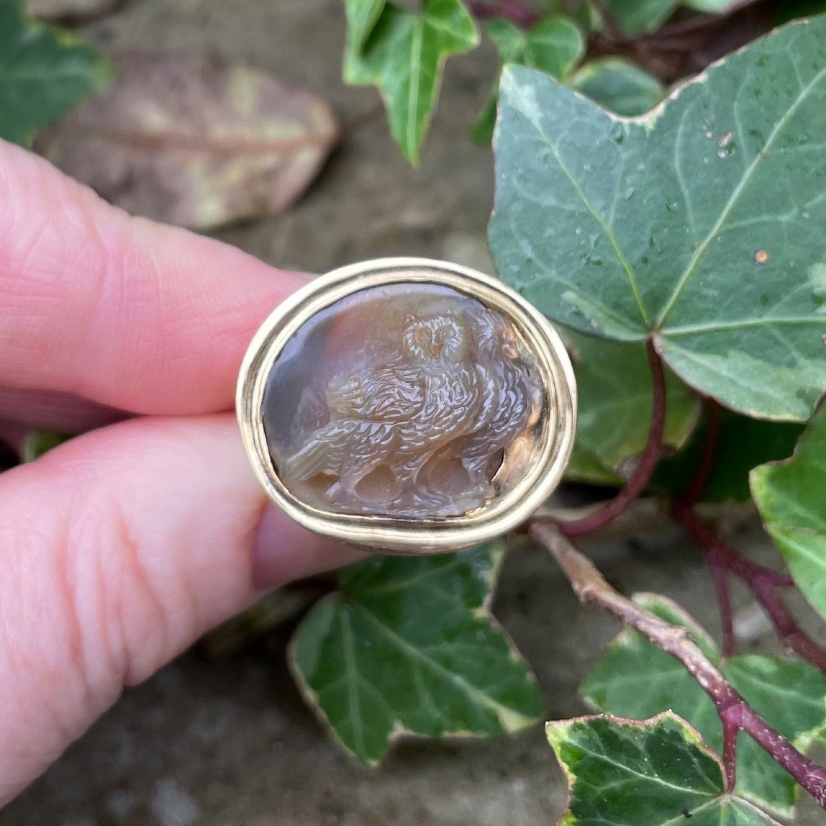 Bague En Or Sertie d'Un Camée En Agate Représentant Deux Chouettes. Italien, XVIIe Siècle. -photo-8