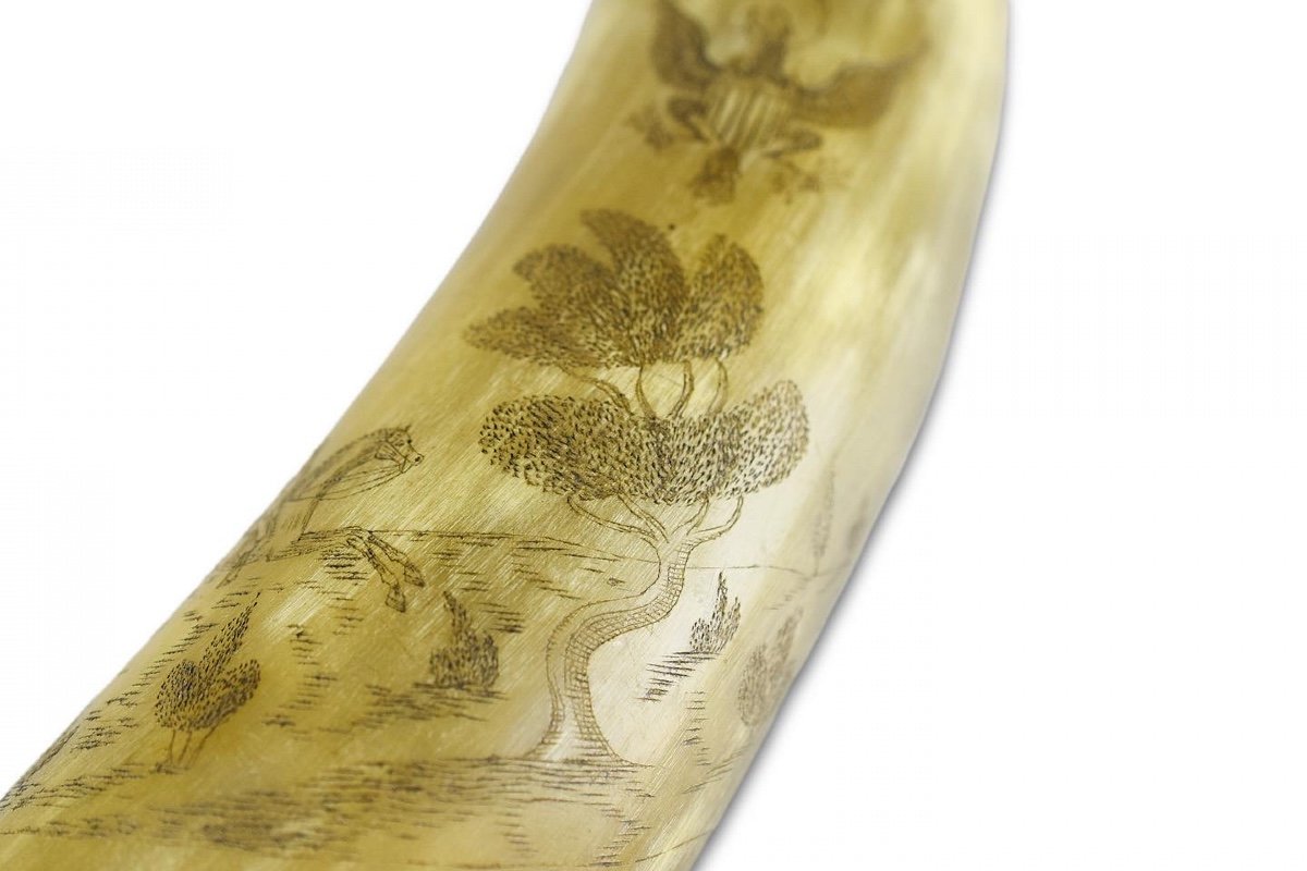 Finely Engraved Cow Horn. American, First Half Of The 19th Century.-photo-4