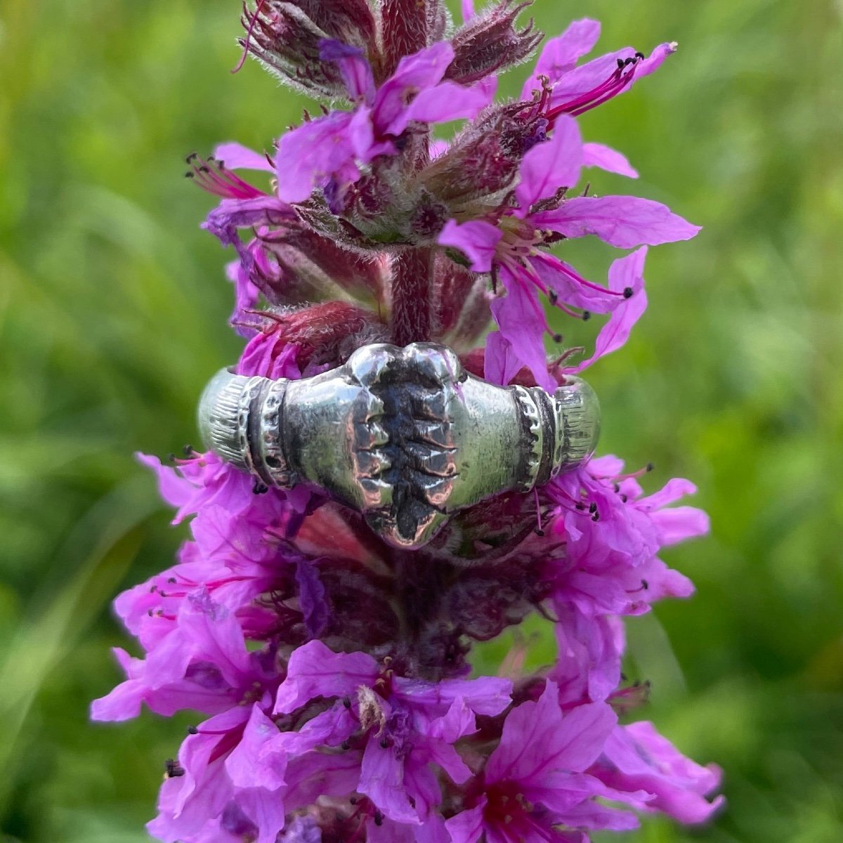 Medieval Silver Fede Ring. Italian, 15th Century.-photo-7