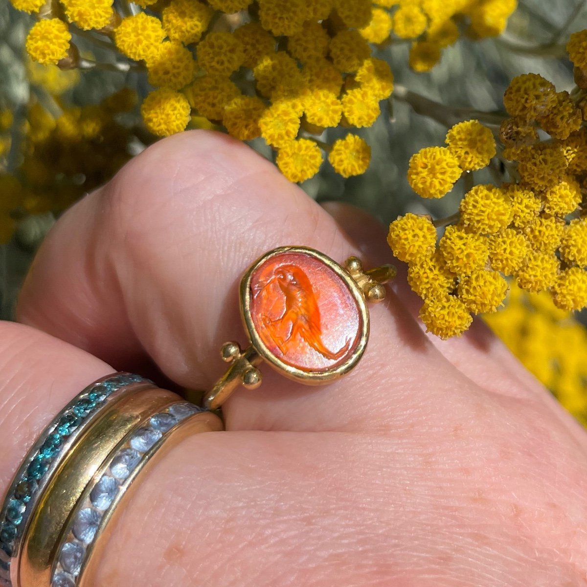 Gold Ring With An Ancient Roman Intaglio Of A Parrot, 1st / 2nd Century Ad.-photo-7