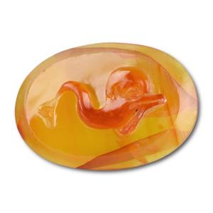 Carnelian Cameo Of A Dolphin. Renaissance / 18th Century.