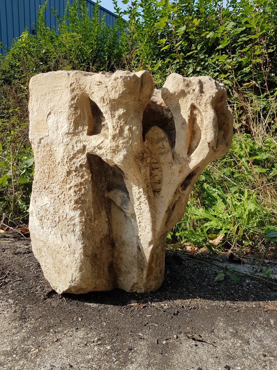 Gothic Capitals In Carved Stone Foliage-photo-1