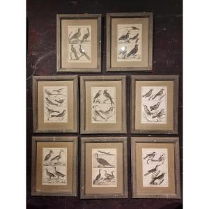 Series Of 8 Framed Engravings 18th Century By R. Benard