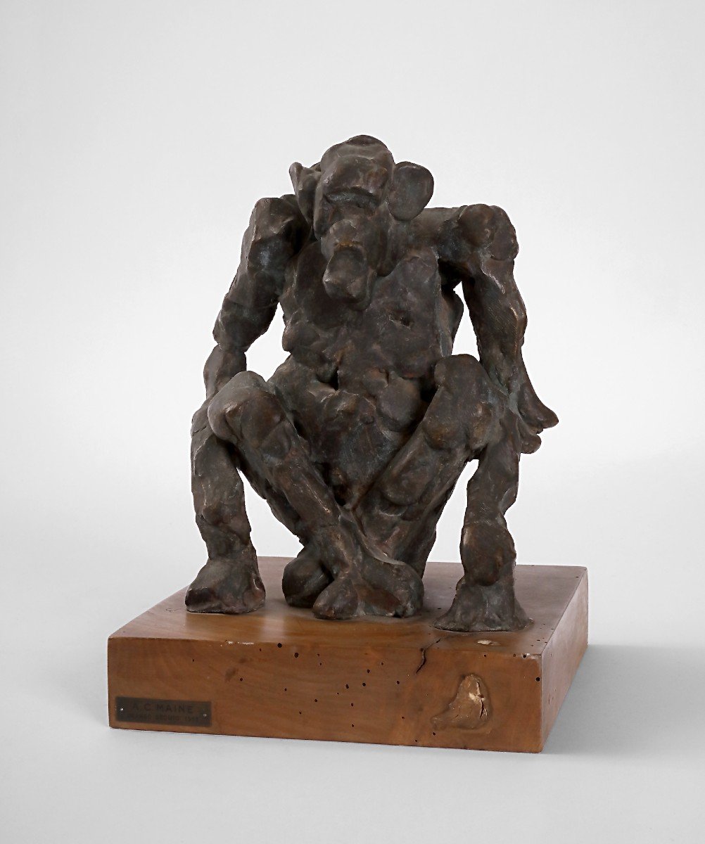 Angelo Camillo Maine - Seated Chimpanzee 