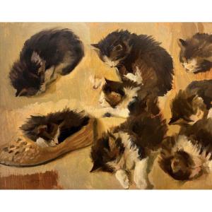 Alfredo Protti - Study Of Cats