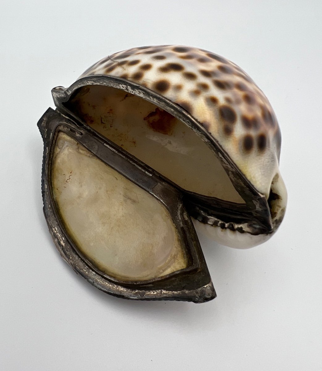 Shell Snuff Box With Silver Mount - 19th Century-photo-1