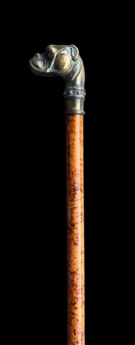 Wooden Cane With Bronze Bulldog Head - European - Late 19th/early 20th Century-photo-2