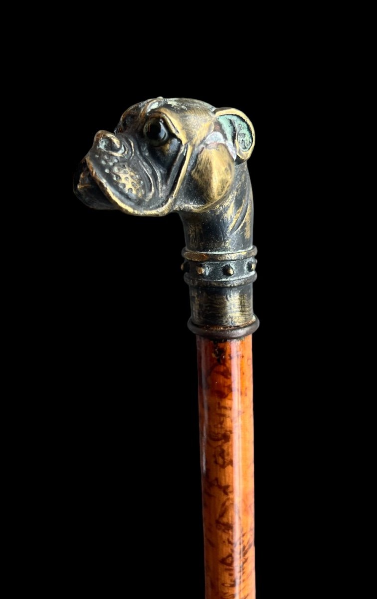 Wooden Cane With Bronze Bulldog Head - European - Late 19th/early 20th Century