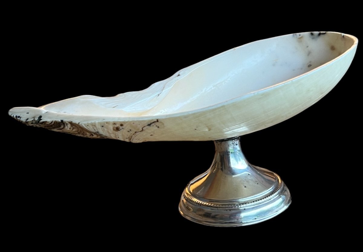 Shell And Sterling Silver Bowl - European - Late 19th, Early 20th Century-photo-3