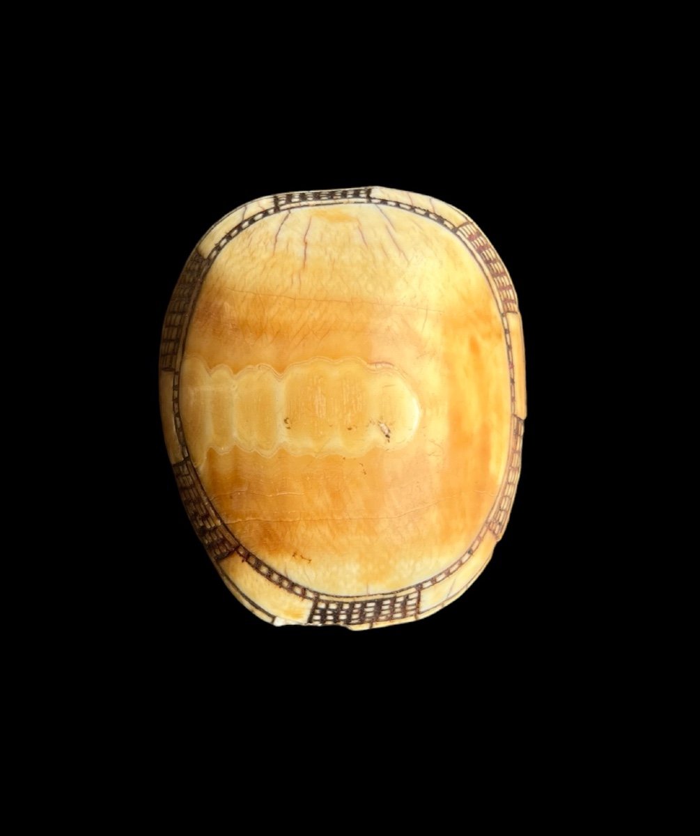 Women's Button 'ovambo Ekipa' From Namibia - Africa - Early 20th Century